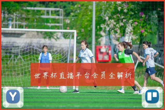 世界杯直播平台会员全解析