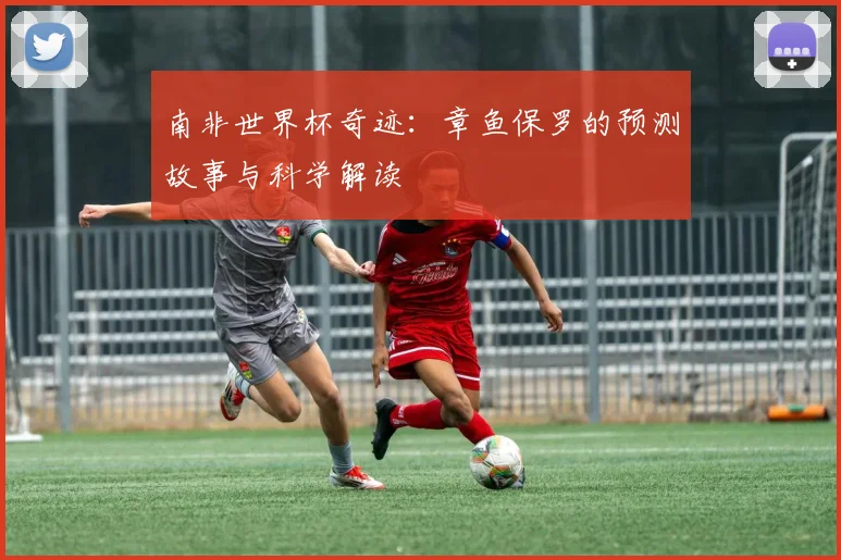 南非世界杯奇迹：章鱼保罗的预测故事与科学解读