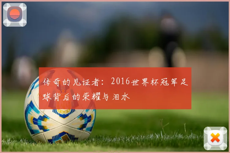 传奇的见证者:2016世界杯冠军足球背后的荣耀与泪水