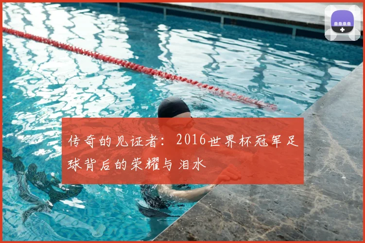 传奇的见证者:2016世界杯冠军足球背后的荣耀与泪水