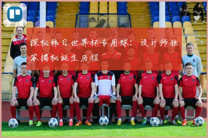 探秘韩日世界杯专用球:设计师独家揭秘诞生历程