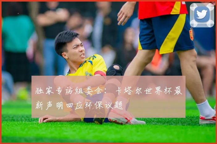 独家专访组委会:卡塔尔世界杯最新声明回应环保议题