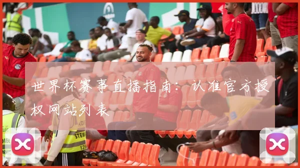 世界杯赛事直播指南：认准官方授权网站列表