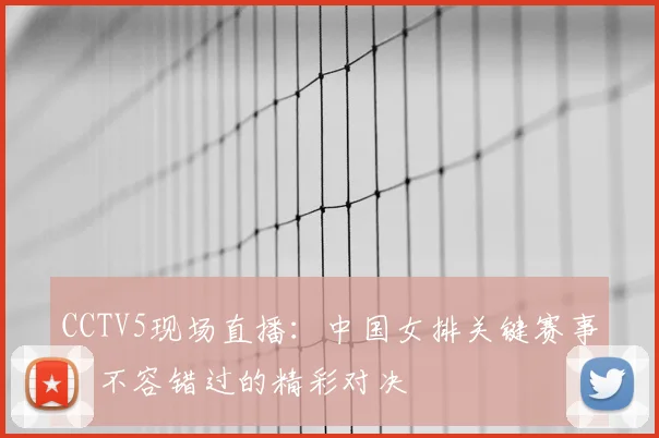CCTV5现场直播：中国女排关键赛事，不容错过的精彩对决