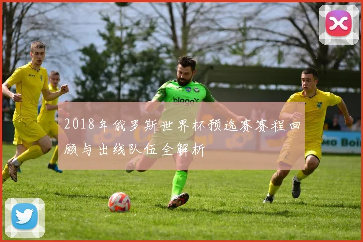 2018年俄罗斯世界杯预选赛赛程回顾与出线队伍全解析