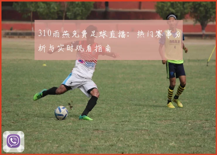 310雨燕免费足球直播：热门赛事分析与实时观看指南